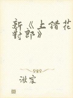 新《上错花轿嫁对郎》