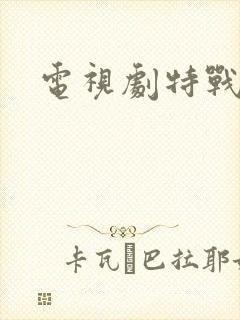 电视剧特战荣耀