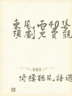 东风雨40集电视剧免费观看