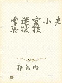 雪迷宫小光第几集牺牲封面