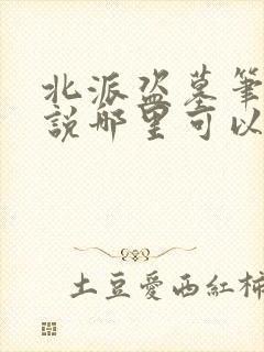 北派盗墓笔记小说哪里可以免费阅读