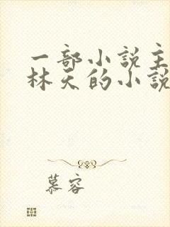 一部小说主角叫林天的小说