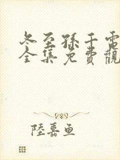 冬至孙千电视剧全集免费观看