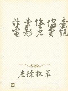 非常伴侣意大利电影免费观看完整版封面