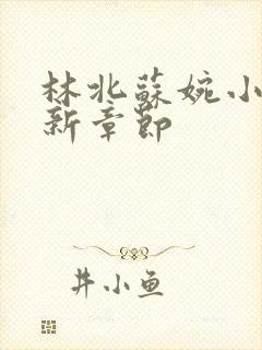 林北苏婉小说最新章节