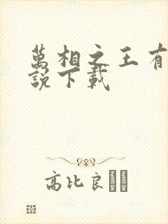 万相之王有声小说下载