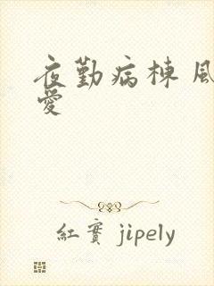 夜勤病栋 风间爱