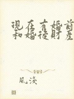 现在有婚前财产和婚后财产吗