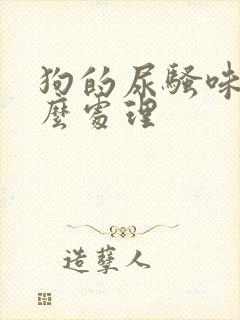 狗的尿骚味大怎么处理