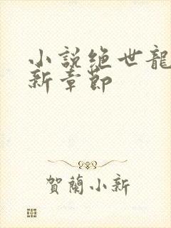 小说绝世龙帅最新章节