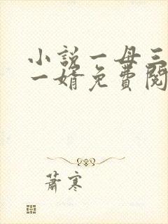 小说一母三女共一婿免费阅读