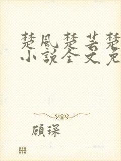 楚风楚芸楚鸿飞小说全文免费阅读修罗武神