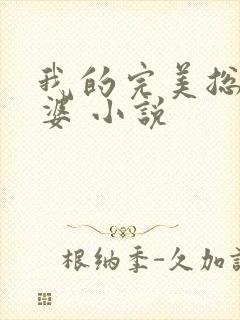 我的完美总裁老婆 小说