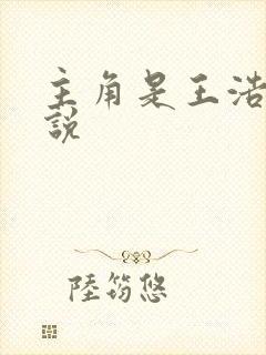 主角是王浩的小说