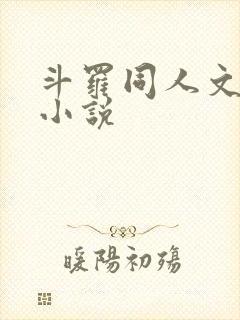 斗罗同人文后宫小说