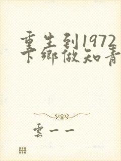 重生到1972下乡做知青小说