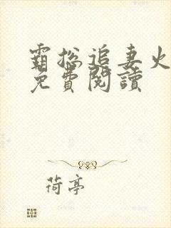 霸总追妻火葬场免费阅读