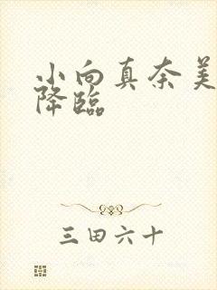 小向真奈美人妻降临