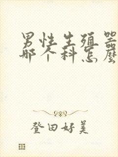 男性生殖器检查哪个科怎么办