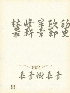 林峰宁欣的小说最新章节更新