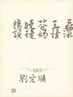 杨晓芬王磊(小说后妈情深)