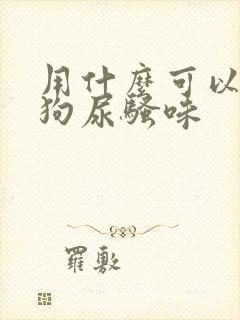 用什么可以去除狗尿骚味