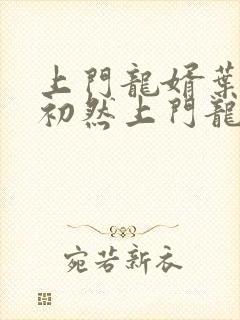 上门龙婿叶辰萧初然上门龙婿