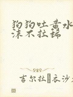 狗狗吐黄水带泡沫不拉稀