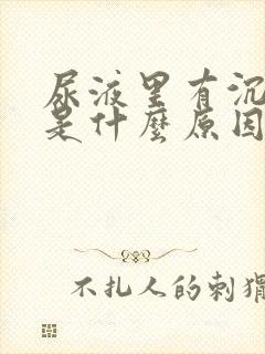 尿液里有沉淀物是什么原因