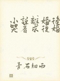 小说离婚后前夫哭着求复婚在线观看