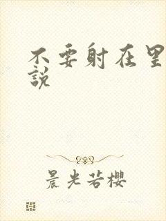 不要射在里面小说封面