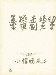 暴躁老妈40集电视剧免费播放