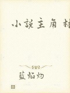 小说主角 林尘