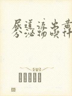 尿道流出黄脓状分泌物吃什么好