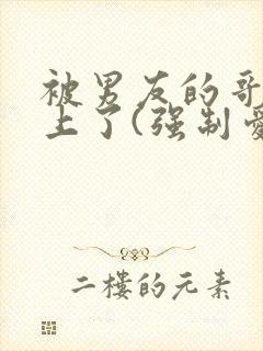 被男友的哥哥强上了(强制爱)