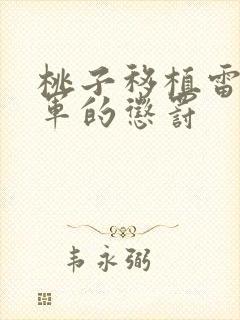 桃子移植雷电将军的惩罚