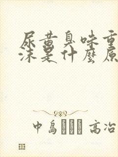 尿黄臭味重有泡沫是什么原因男