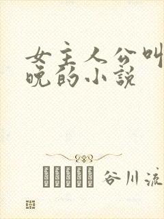 女主人公叫沈星晚的小说