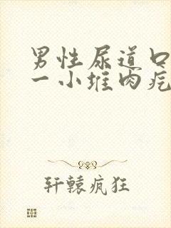 男性尿道口长了一小堆肉疙瘩封面