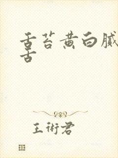 舌苔黄白腻齿痕舌封面