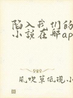 陷入我们的热恋小说在哪app上看封面