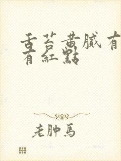 舌苔黄腻有裂纹有红点