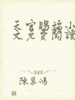 天官赐福小说全文免费阅读未删减无弹窗txt