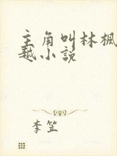 主角叫林枫的穿越小说