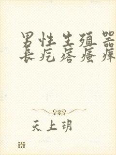 男性生殖器根部长疙瘩瘙痒