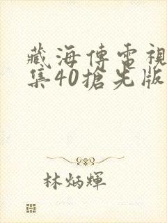 藏海传电视剧全集40抢先版