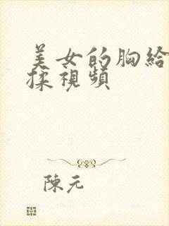 美女的胸给男人揉视频