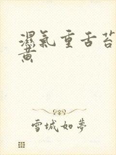 湿气重舌苔白厚黄