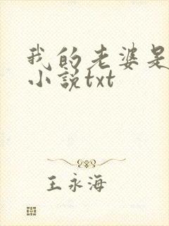 我的老婆是总裁小说txt