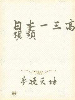 日本一三高清乱视频